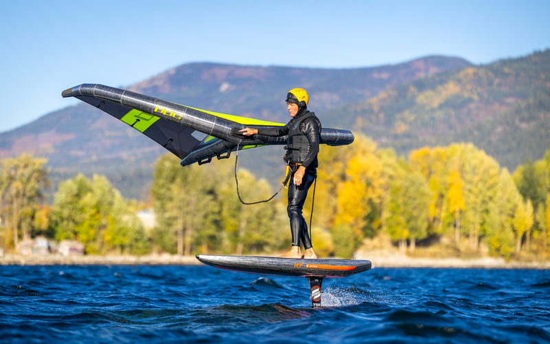 Chargez l&#39;image dans la visionneuse de la galerie, KT Ginxu Dragonfly
