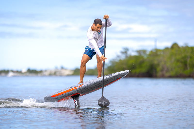 Chargez l&#39;image dans la visionneuse de la galerie, KT Ginxu Dragonfly
