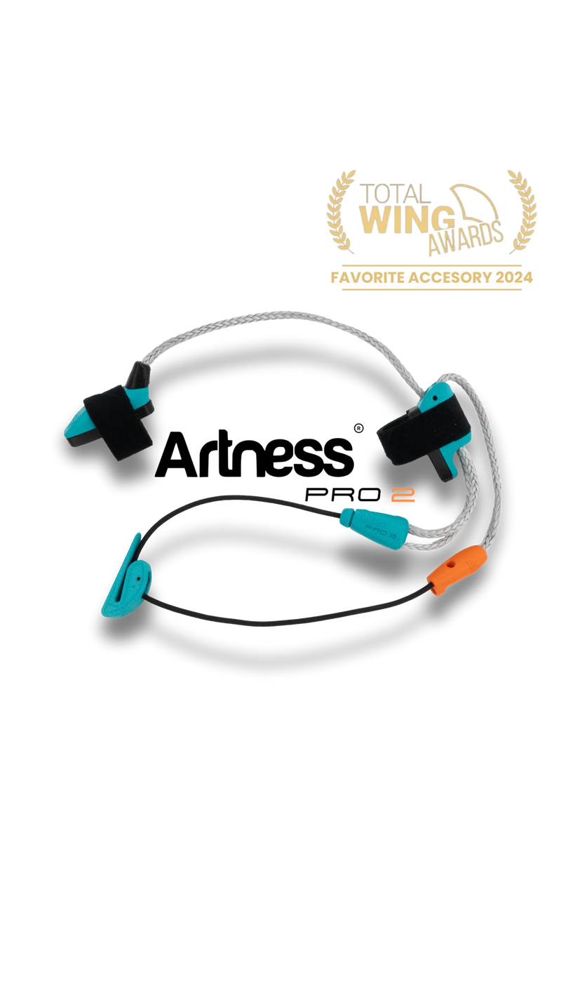 Chargez l&#39;image dans la visionneuse de la galerie, ARTNESS PRO 2
